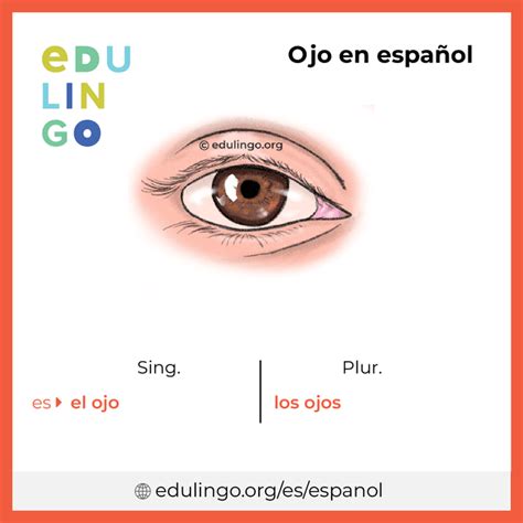 eyes traduccion|Traducción en español de “EYE” .